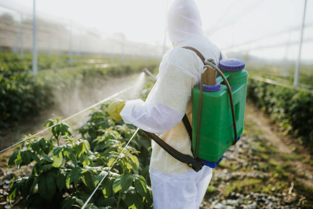 Pest Control for Restaurants in Niceville, FL